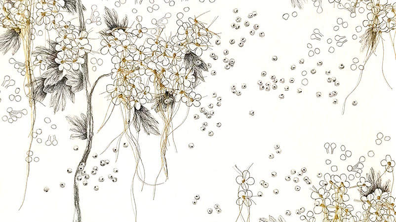 Ursula Caruel "Flowers in Progress" - Montpellier