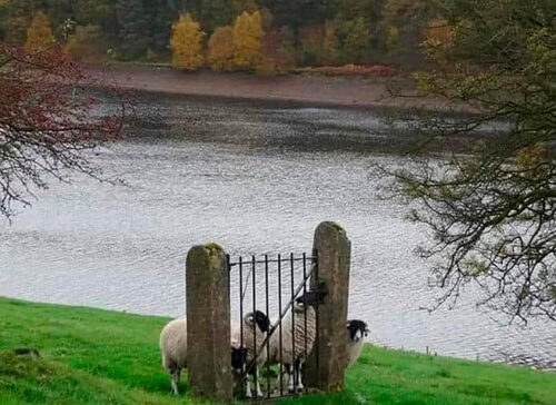 « Il faut renoncer aux futurs déjà obsolètes »