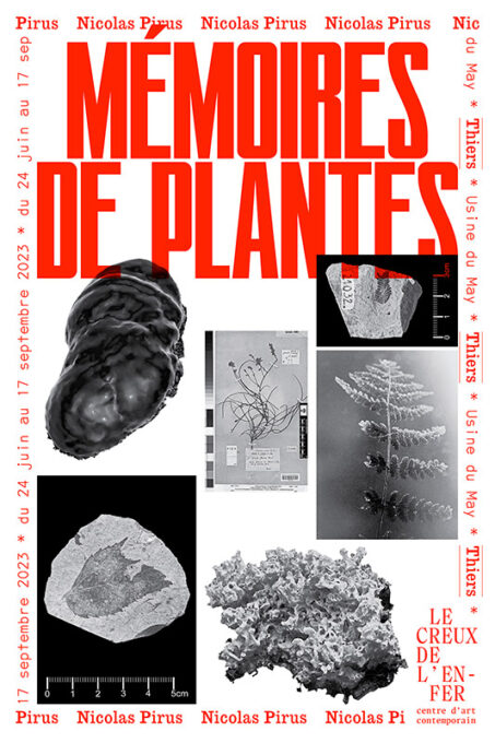 Nicolas Pirus - Mémoires de plantes - Thiers