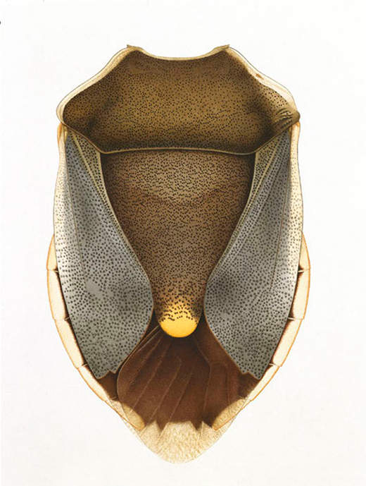 Impact & Jean-Pierre Bertrand, Time removing - Mouans-Sartoux
