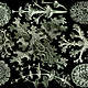Diplomaties terrestres - Île de Vassivière Ernst Haeckel, Kunstformen der Natur, planche 83 : Lichens, 1904