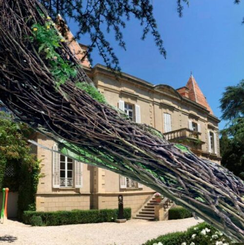 Emmanuelle Briat - Tant que la Vigne pousse… - Château de Bosc