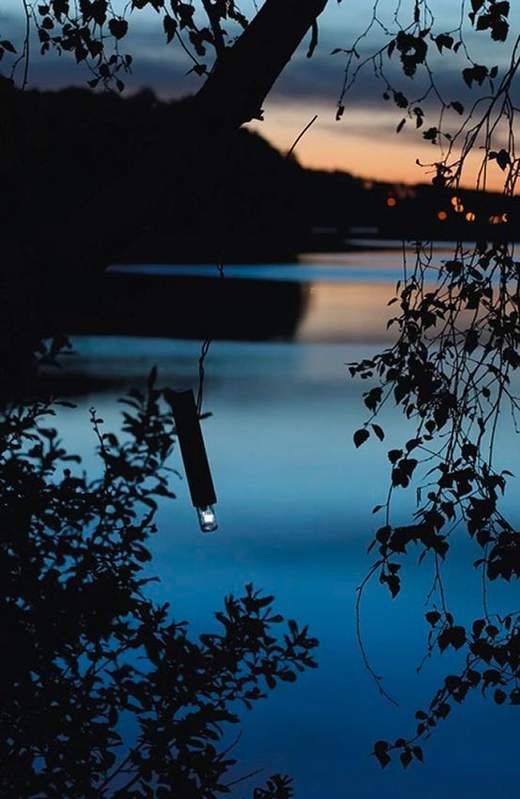1983-2023 : 40 ans de collection en plein air - Île de Vassivière