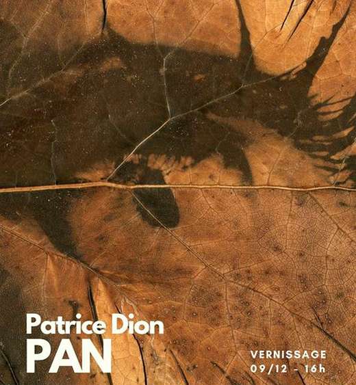 Patrice Dion - Pan - Toulouse