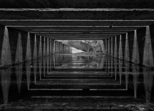 François Sagnes - Jardin de l'ombre - Bordeaux