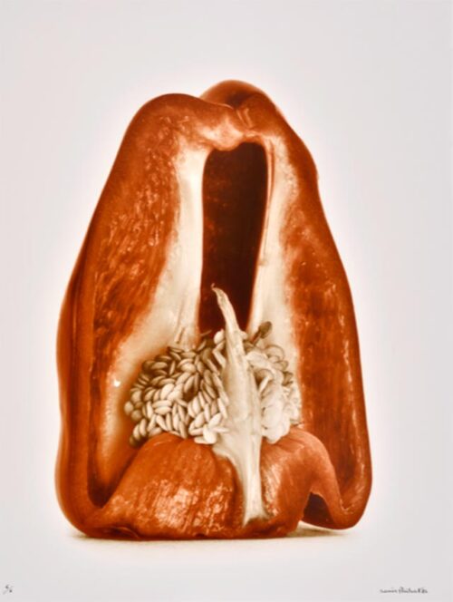 Denis Brihat - Aux petits oignons - Aix en Provence
