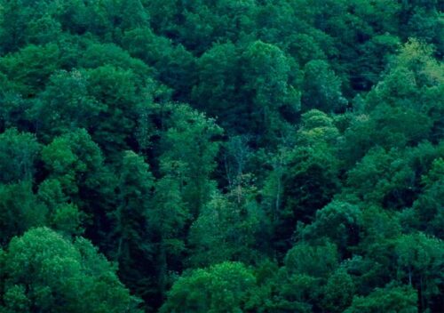 De près, au loin... Le Paysage au point de perception - La Minoterie Nay - CHLOÉ MOSSESSIAN