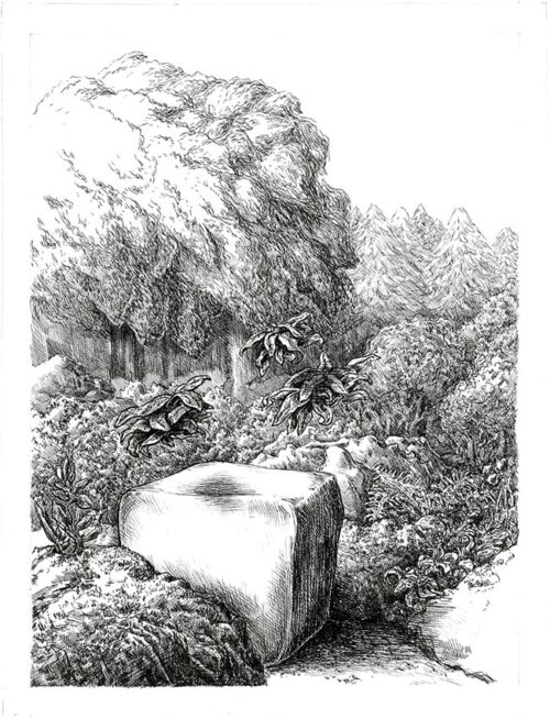 Camille Messager - Saumure - Muret