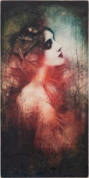 Corinne Héraud - Sublimations - Lyon