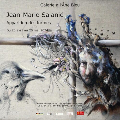 Jean Marie Salanie - Apparition des formes - Marciac