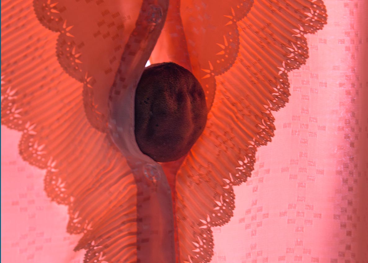 Carole Rey - Forty plus