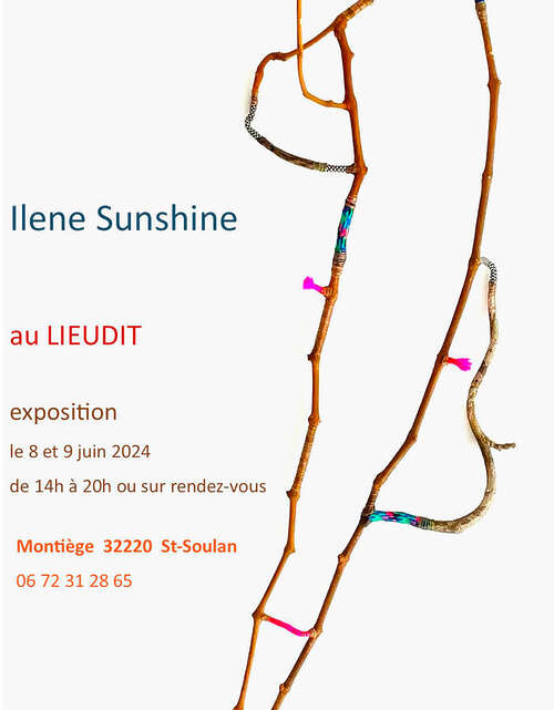 Ilene Sunshine - Lieudit Montiège & Collective En Sauvin