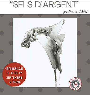 François Sales, Sels d'argent - Montauban