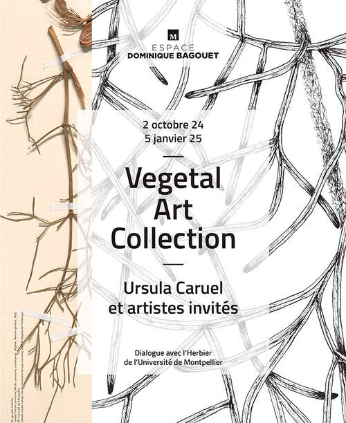 Ursula Caruel - Vegetal Art Collection - Montpellier