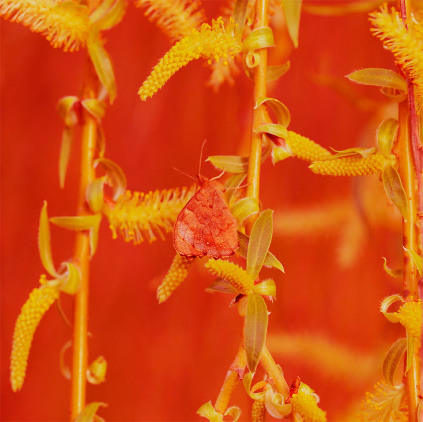 Résidence 1+2 – Édition 2024 - Toulouse