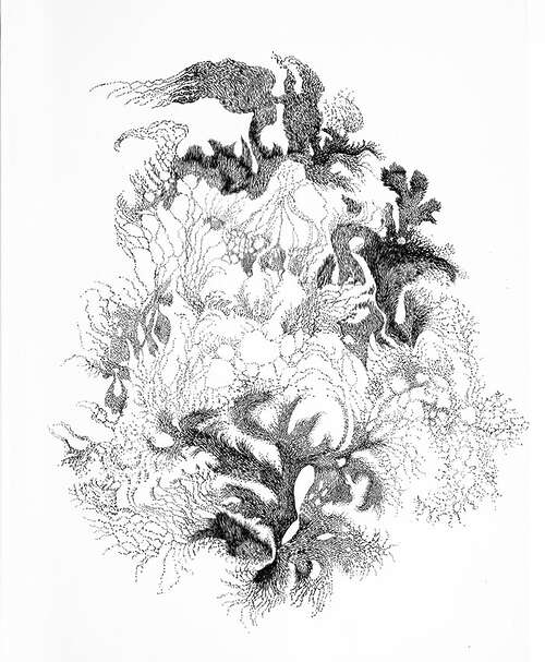 Virginie Banabéra - En filigrane - Muret