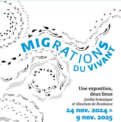 Migrations du vivant - Jardin botanique Bordeaux