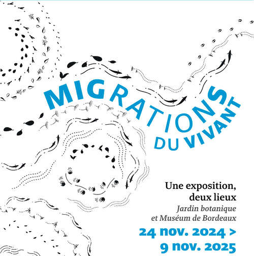 Migrations du vivant - Jardin botanique Bordeaux