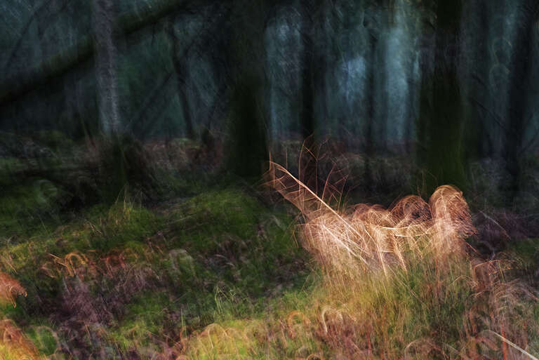 Guy Debord (1931-1994) – La Société du Spectacle (1967) © Philippe Cadu