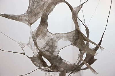 Gaëlle Chotard La peau de l'oiseau