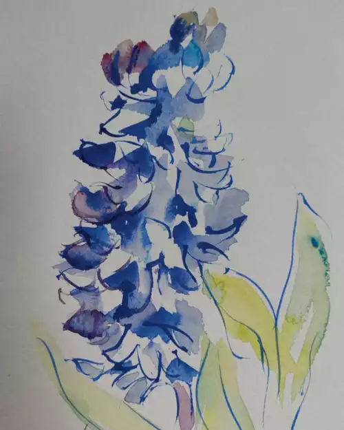 Béa Bouquet – Re-création - Rivesaltes