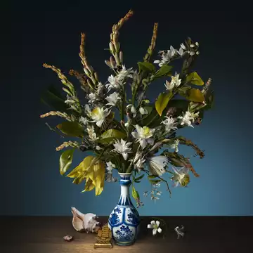 Bas Meeuws - Flowers - Mougins