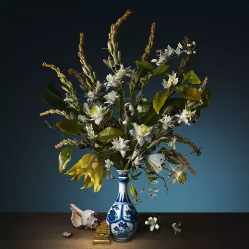 Bas Meeuws - Flowers - Mougins