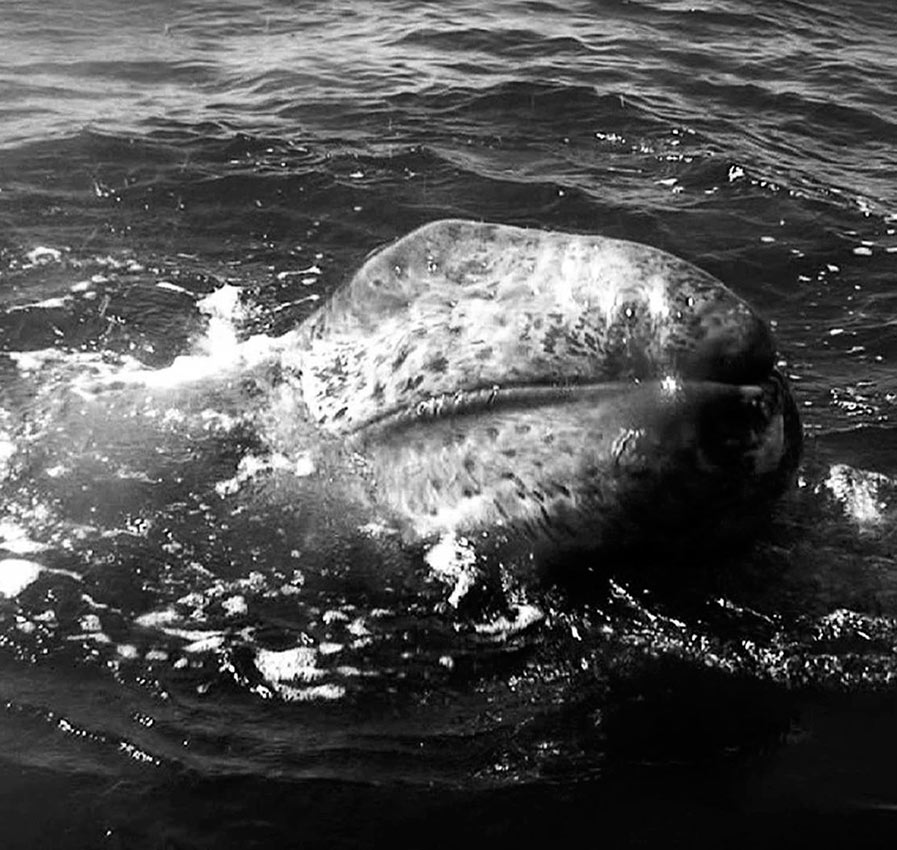 Tania Mouraud - Ad Infinitum - La Rochelle