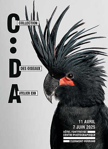 Des Oiseaux & Panoramas #6, Vider son sac - Clermont-Ferrand
