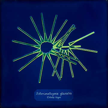 Manon Lanjouère - Les Particules, Le conte humain d’une eau qui meurt - Nice
