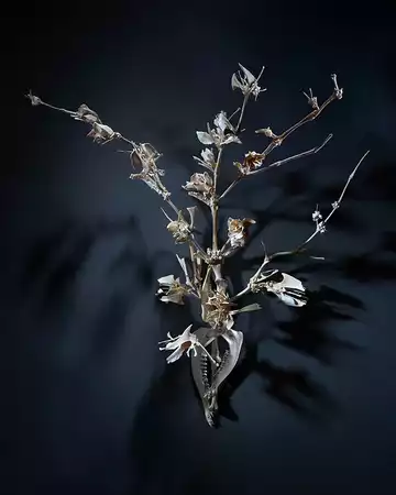 Corine Borgnet - The Last Dance - Cannes