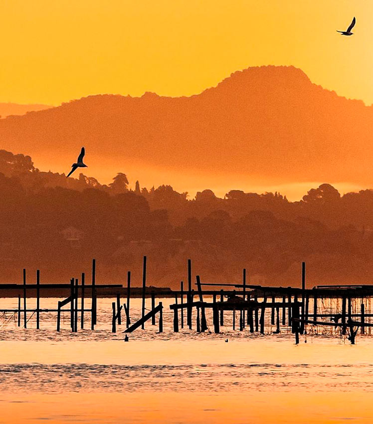 Gil Frechet - Tamaris et les Sablettes, paysages bouleversants - La Seyne-sur-mer