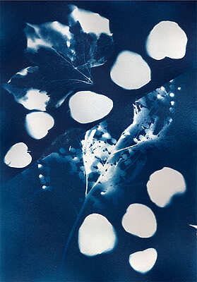 Minna Kokko - Compositions - Durban-Corbières