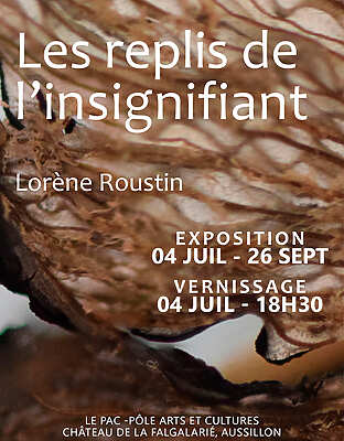 Lorène Roustin - Les replis de l'insignifiant - Aussillon