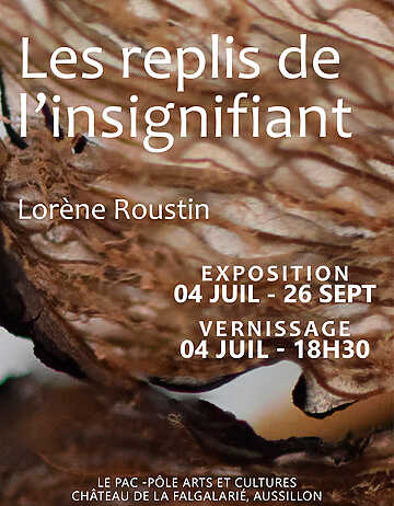 Lorène Roustin - Les replis de l'insignifiant - Aussillon