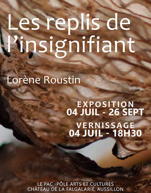 Lorène Roustin - Les replis de l'insignifiant - Aussillon