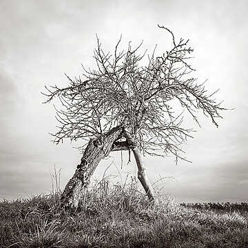 Mercredi Photographique #62 - Bordeaux