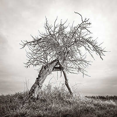 Mercredi Photographique #62 - Bordeaux