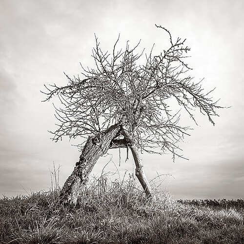 Mercredi Photographique #62 - Bordeaux