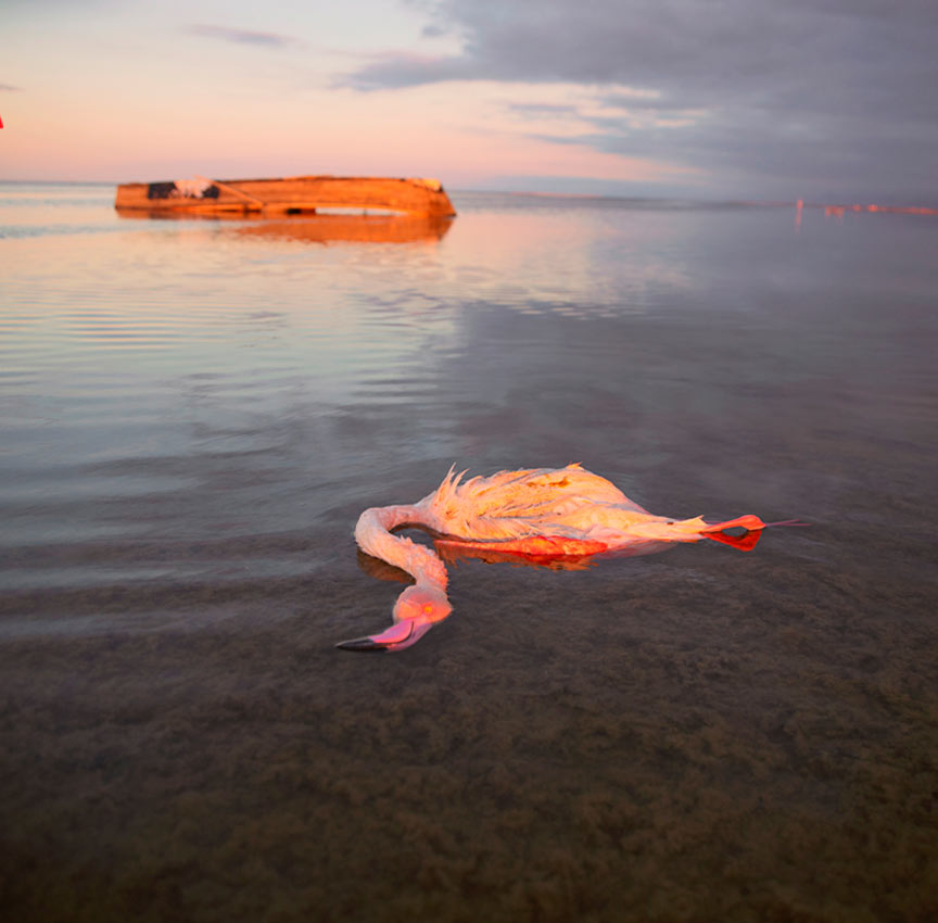 Masoumeh Bahrami - The Tears of Motherland - Toulouse