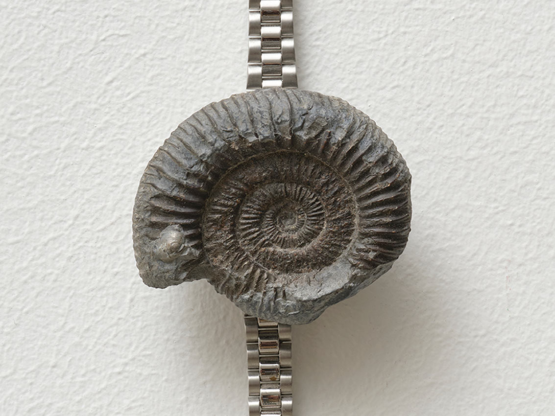 Zac Langdon-Pole - La dérive du monde - Île de Vassivière