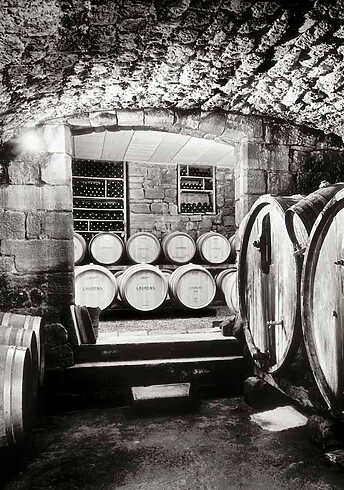 Olivier Mériel - Gens de Vignes - Marcillac-Vallon