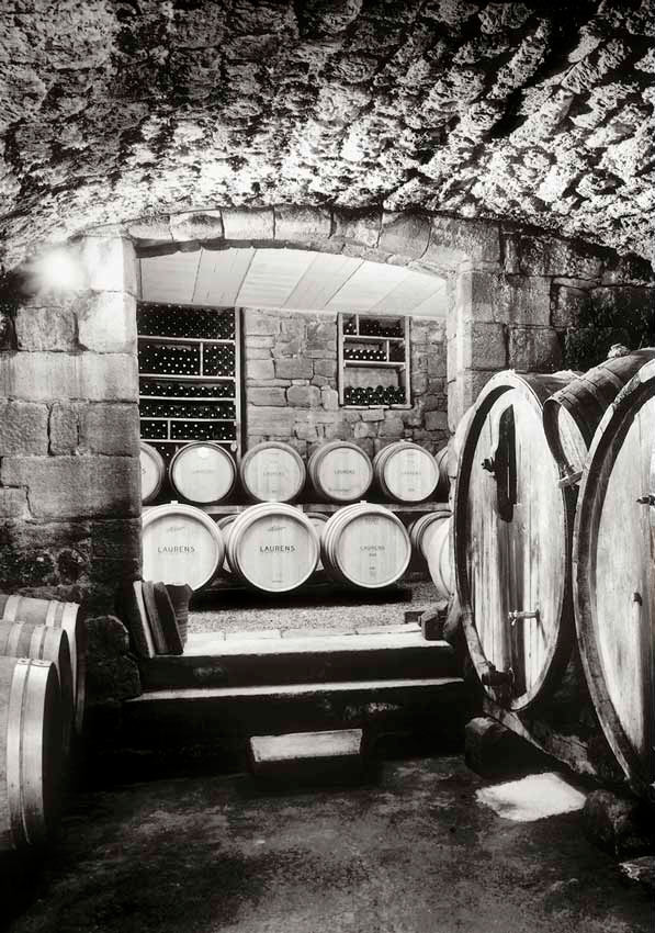 Olivier Mériel - Gens de Vignes - Marcillac-Vallon