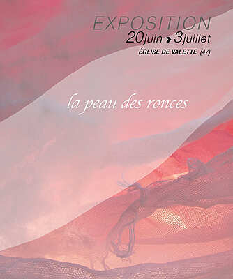 La peau des ronces - Valette