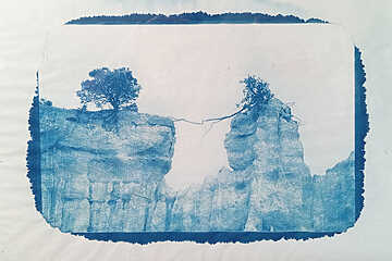 Fanette Bruel - Être Arbre - Saint Hilaire