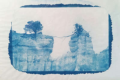 Fanette Bruel - Être Arbre - Saint Hilaire