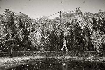 Alain Laboile - La Famille - Mougins