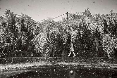 Alain Laboile - La Famille - Mougins