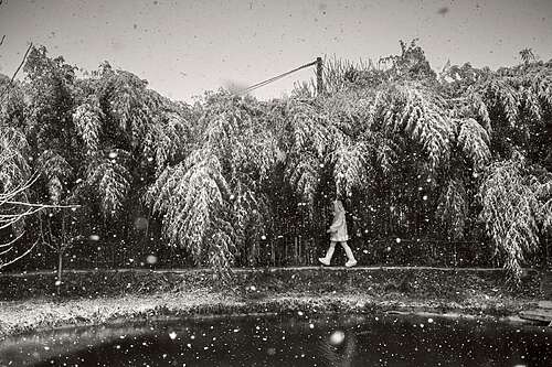 Alain Laboile - La Famille - Mougins