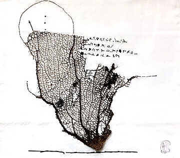 Agathe Mazzucotelli - Là-bas, la mer - Nîmes